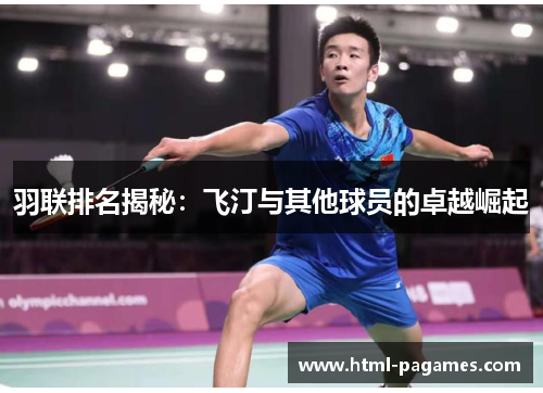 羽联排名揭秘：飞汀与其他球员的卓越崛起