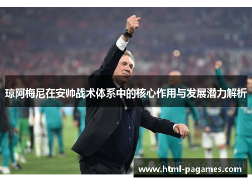 琼阿梅尼在安帅战术体系中的核心作用与发展潜力解析