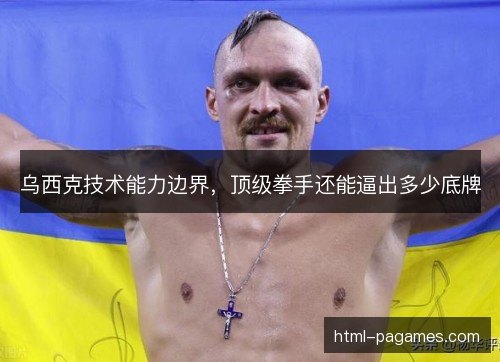 乌西克技术能力边界,顶级拳手还能逼出多少底牌 乌西克技术能力边界,顶级拳手还能逼出多少底牌